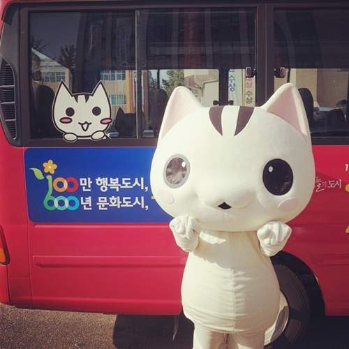 大萌猫!韩国高阳市吉祥物现身各种活动